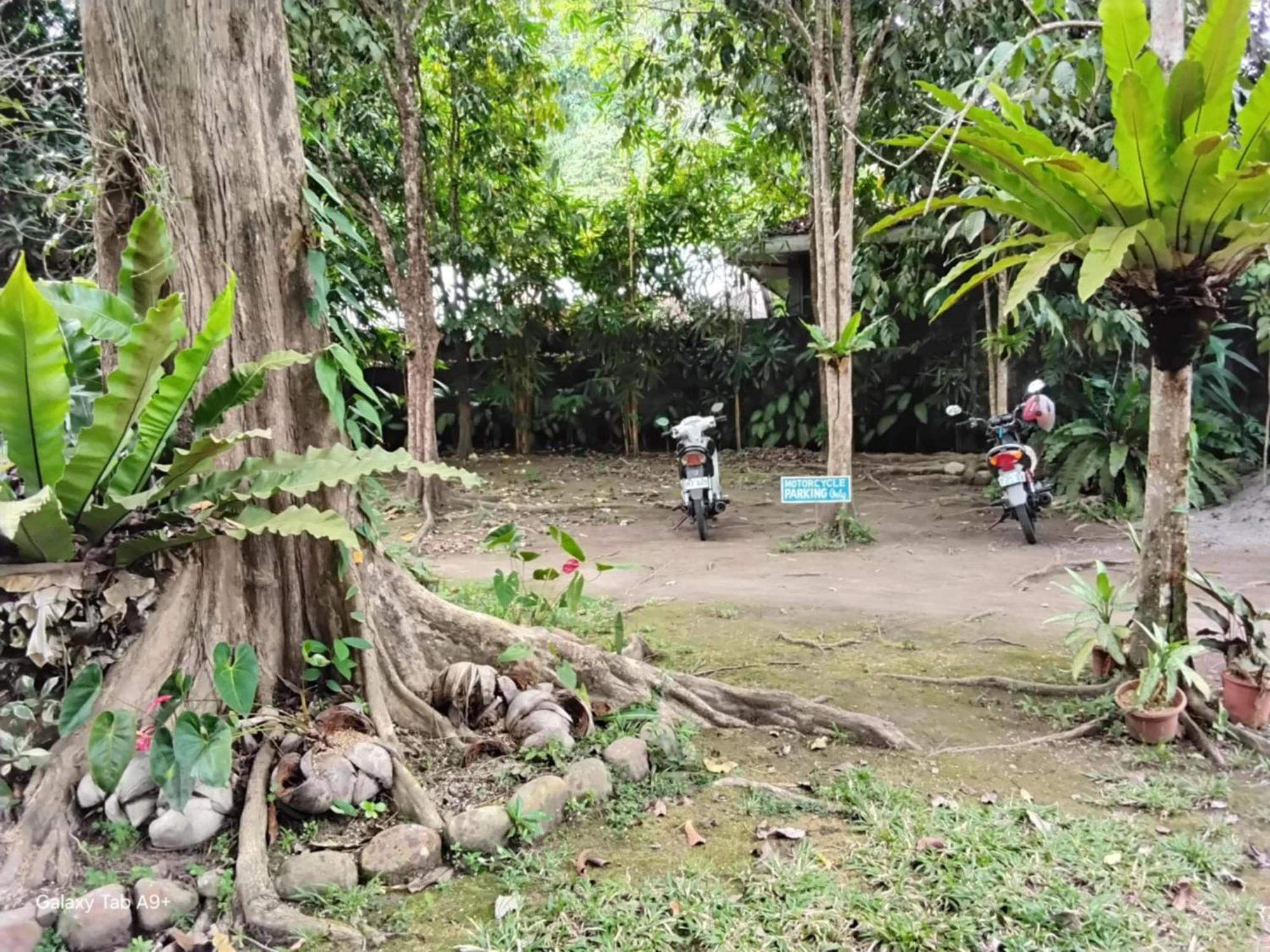 Camiguin Lanzones Resort Mambajao Zewnętrze zdjęcie