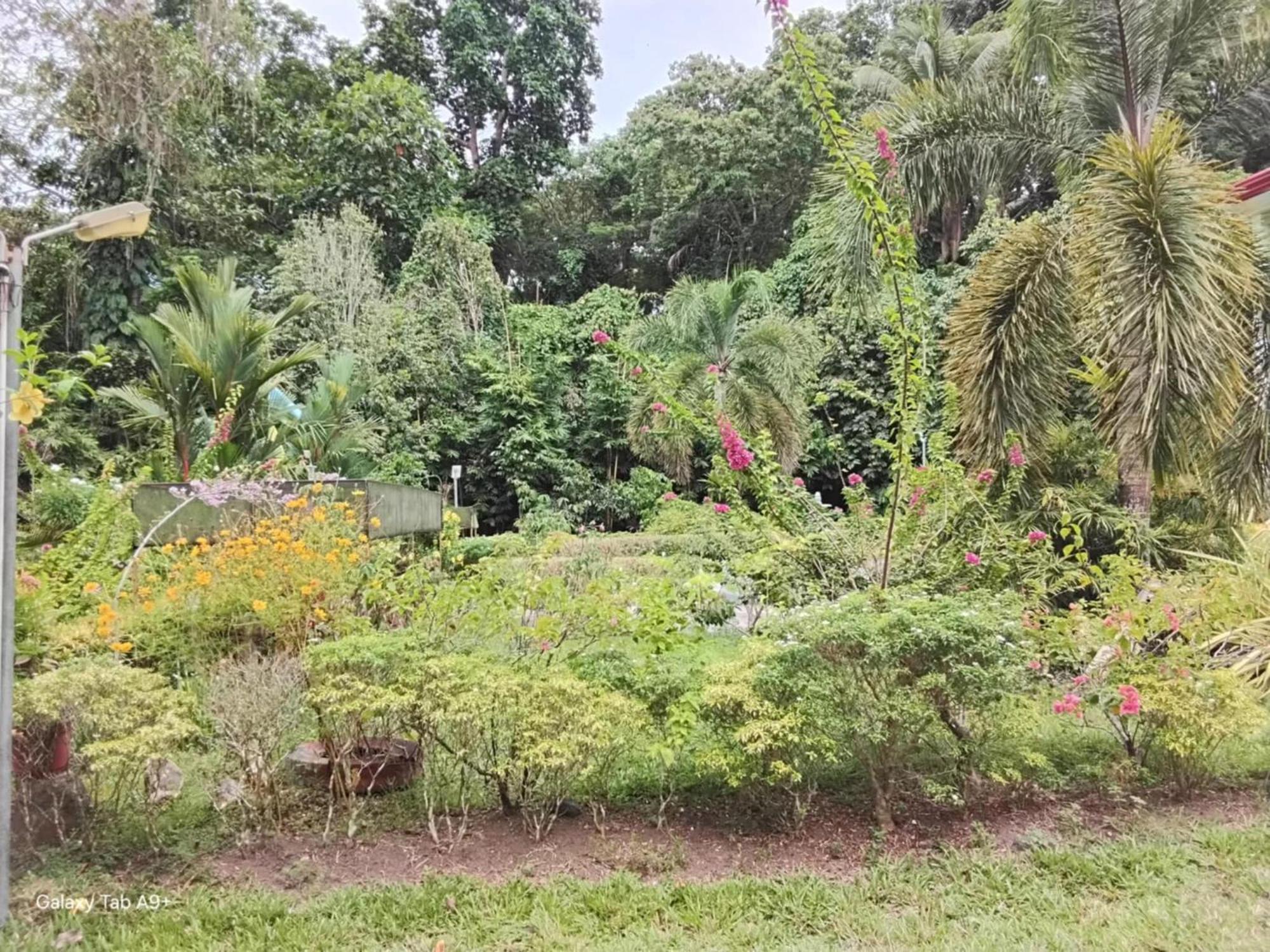 Camiguin Lanzones Resort Mambajao Zewnętrze zdjęcie