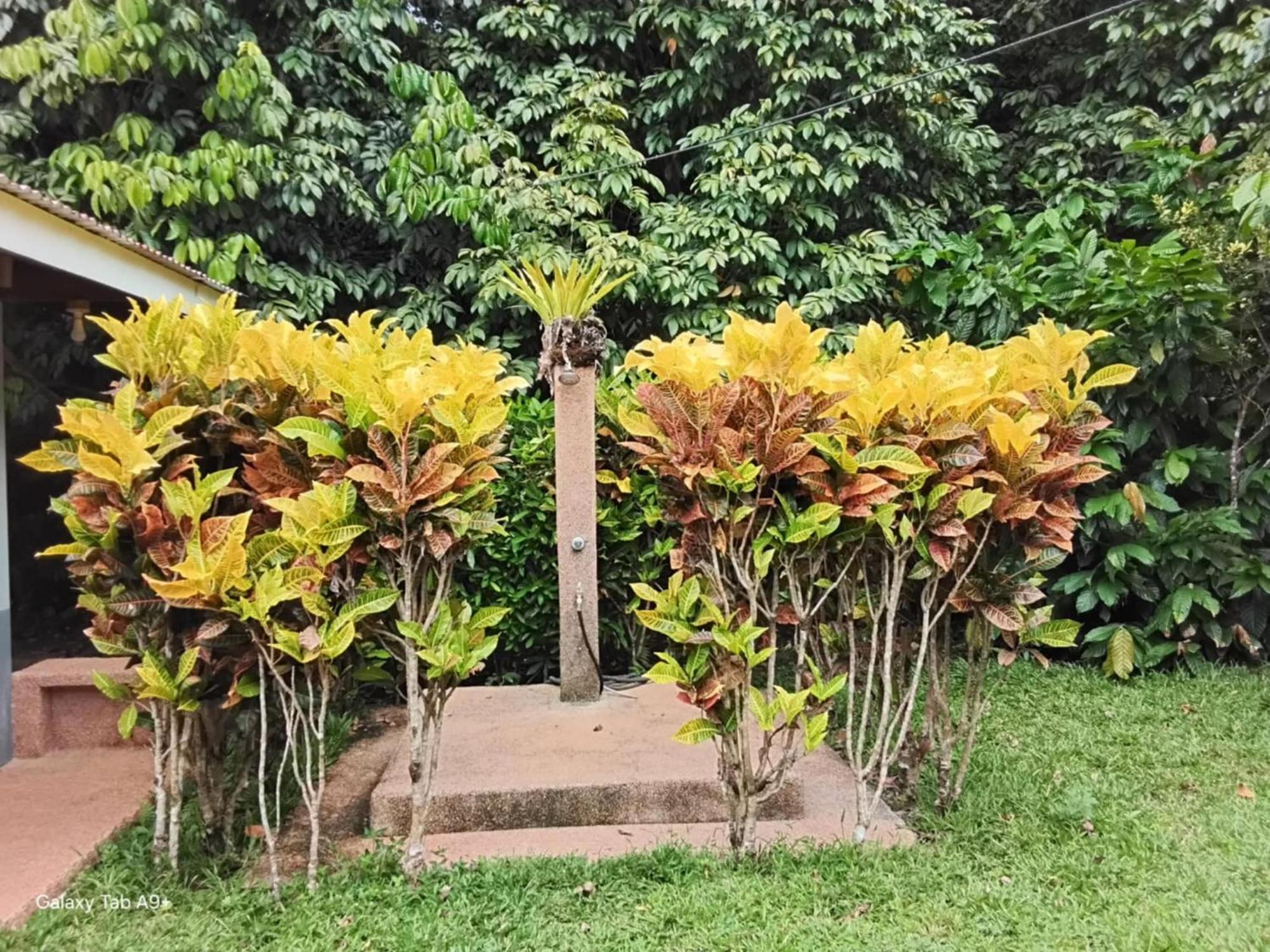 Camiguin Lanzones Resort Mambajao Zewnętrze zdjęcie