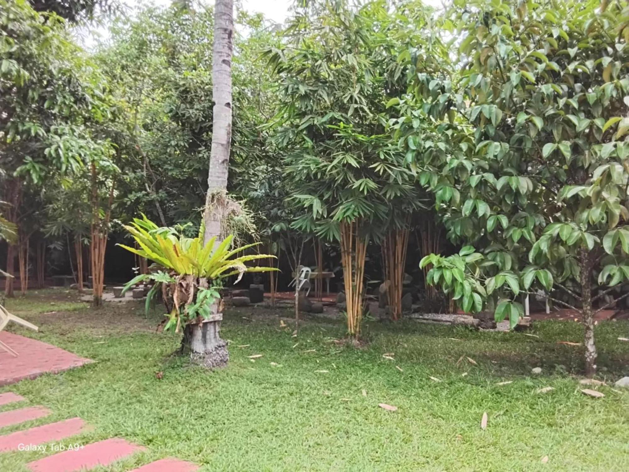 Camiguin Lanzones Resort Mambajao Zewnętrze zdjęcie
